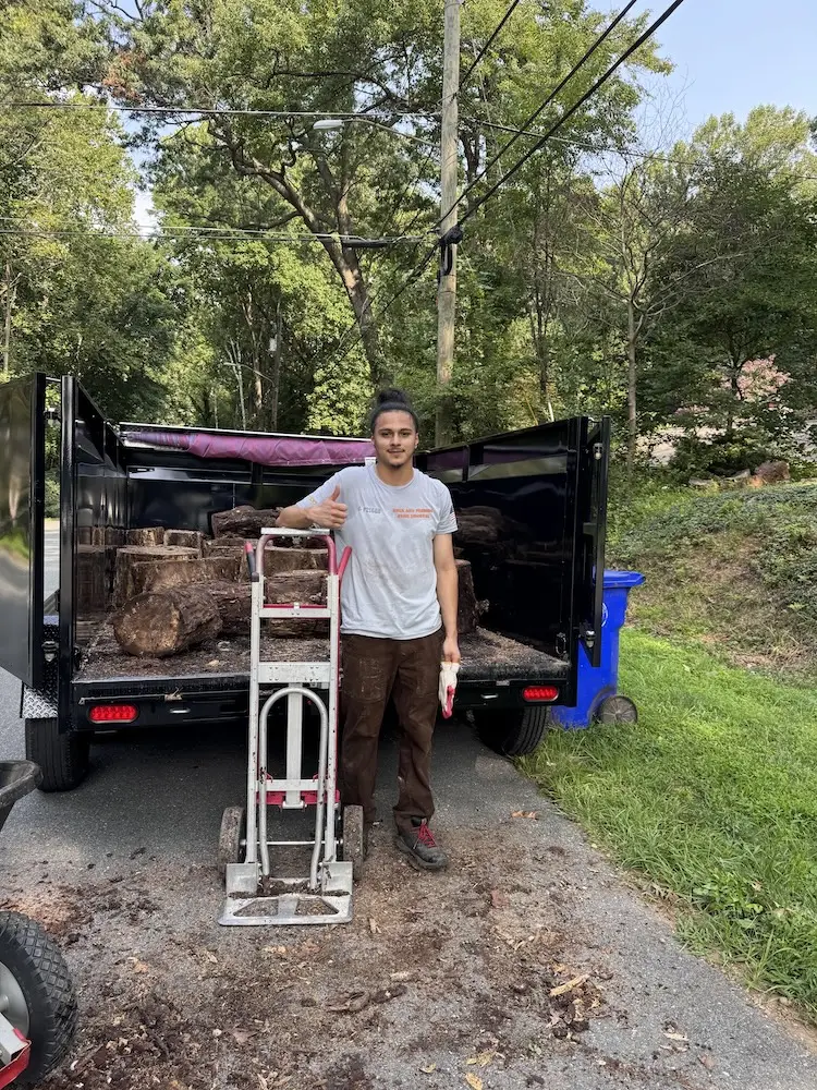 clearing branches and tree stumps from a yard