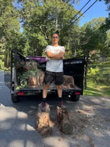 remove-tree-rockville